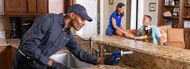 Best Residential Pest Control  in Pea Ridge, FL